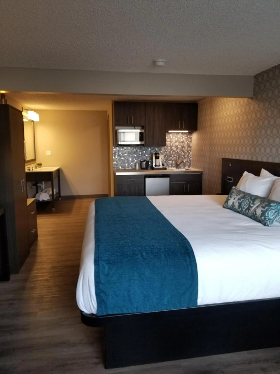 The Hotel Y