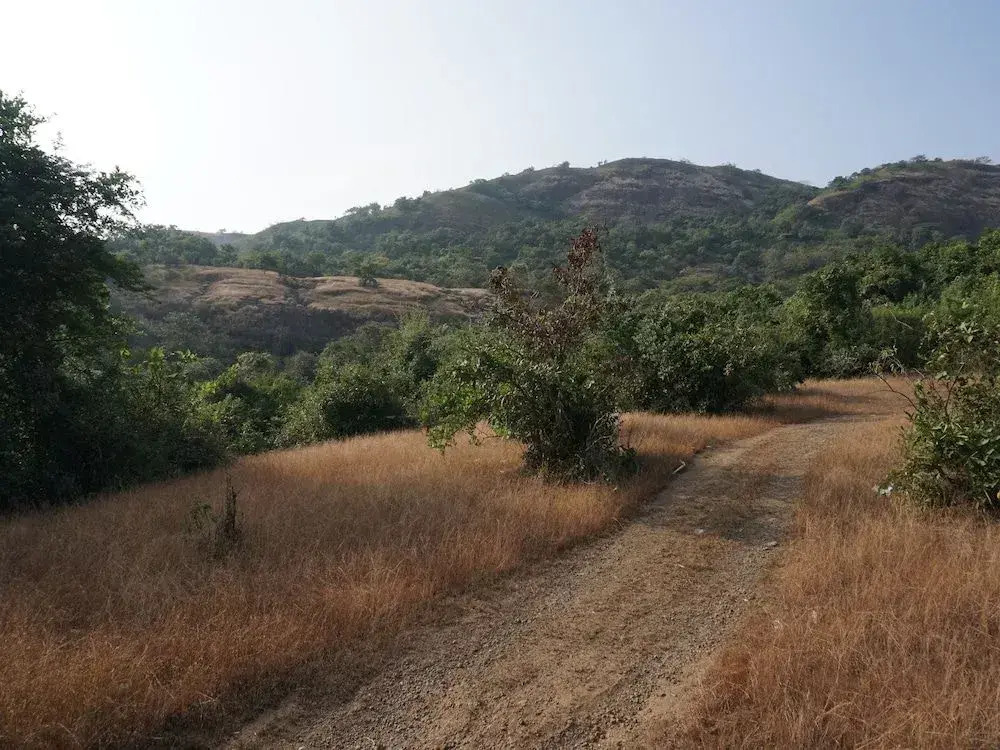 OYO 24793 Eagle Villa