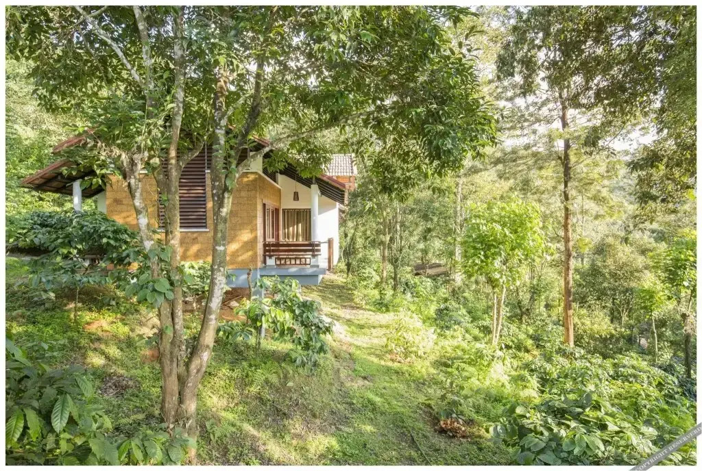 Vythiri Mist Resort