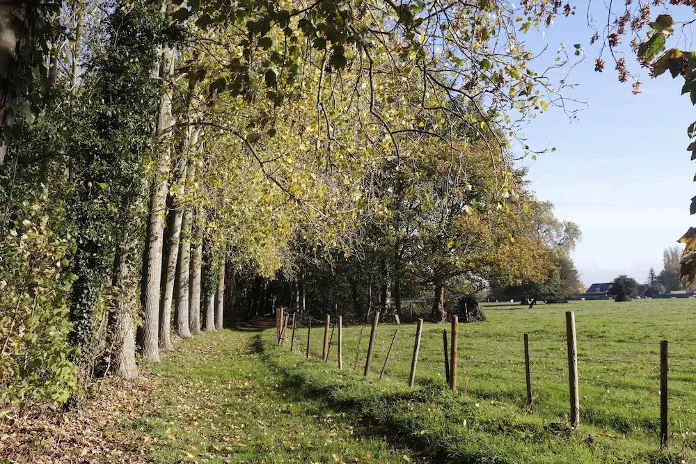 Le Domaine Saint Ange