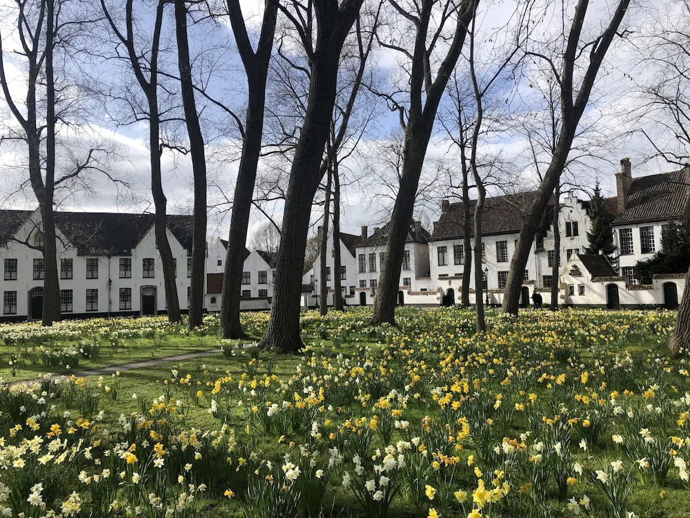 Bariseele B&B