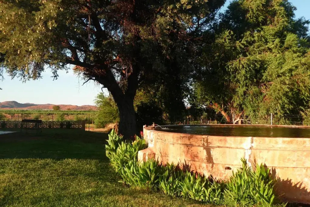Avonsrus Guesthouse