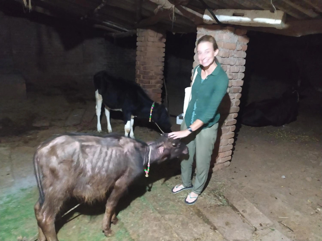 Orchha Best Homestay