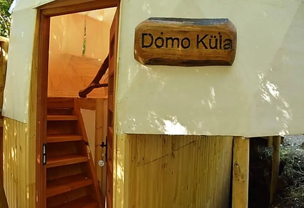 Llaimadomo