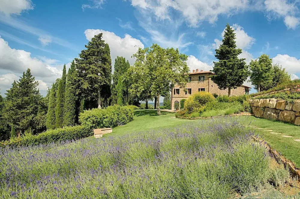 Luxury Chianti in Olive