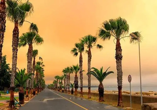 Sea Front & City Center, Amazing Sea View