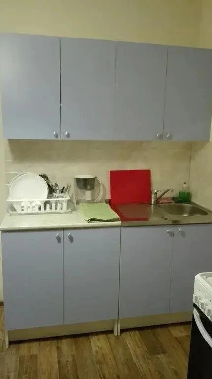 Belysheva 5 Levyi