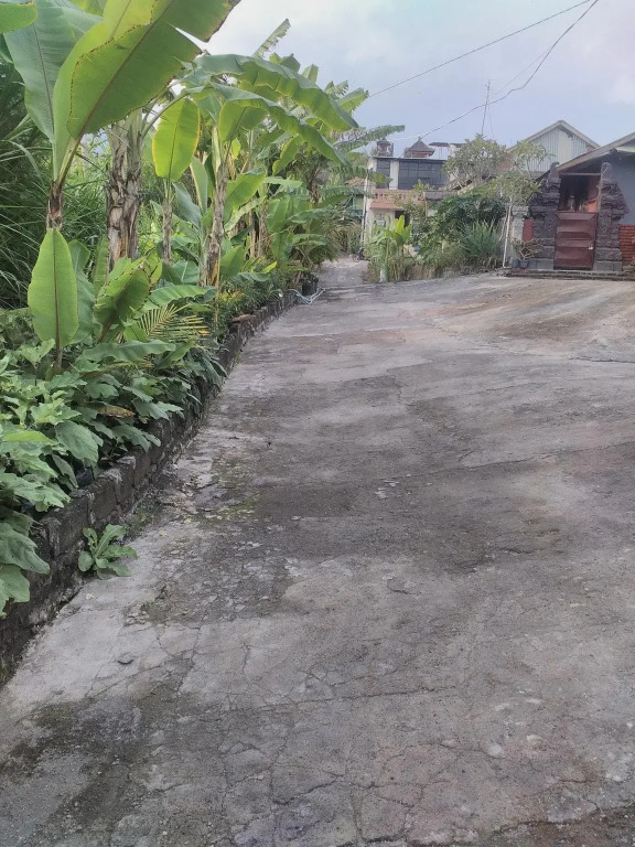 Volcano Hostel