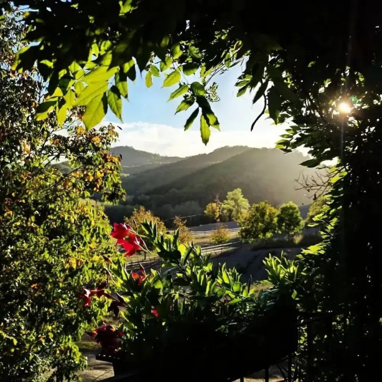 agriturismo il melo rosso