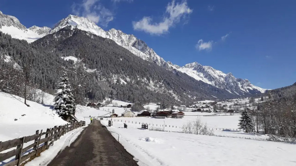 Unterreinischhof