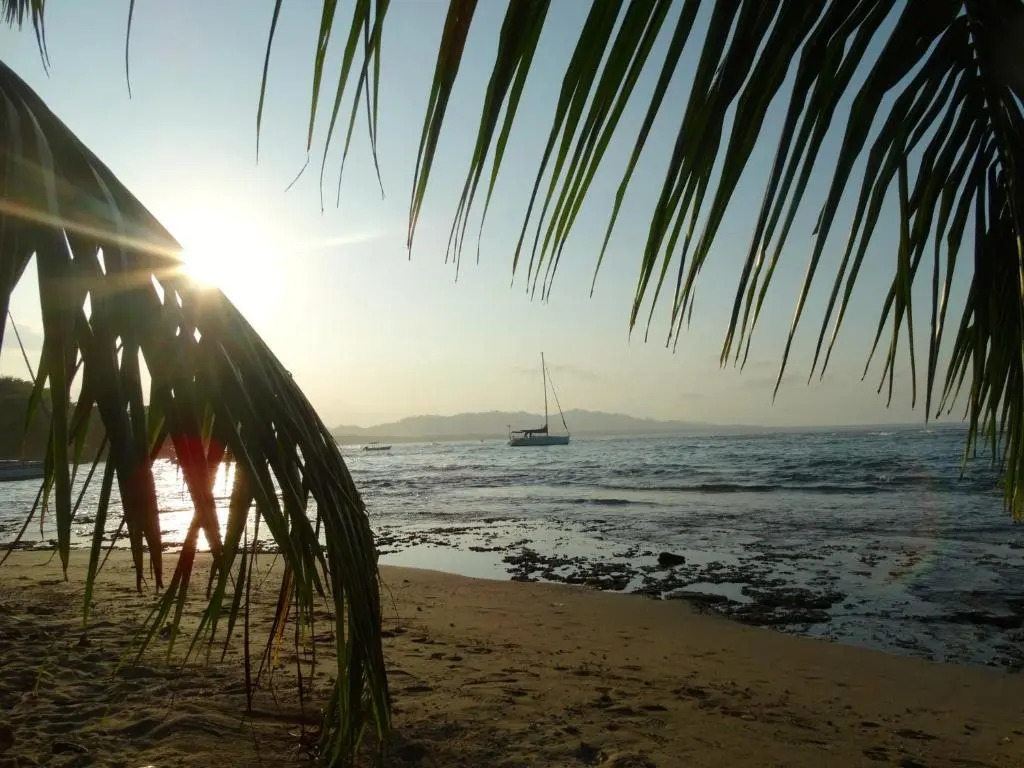 Caribbean Secret