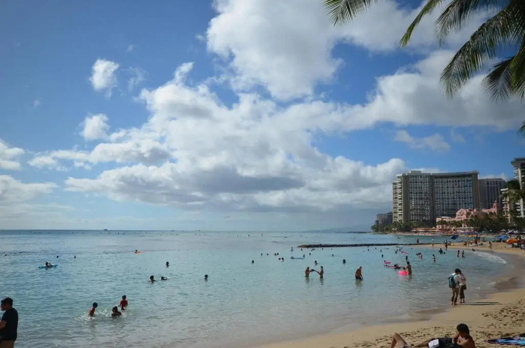 Hawaiian King 501 Studio, Pool and BBQ Grill, Sleeps 4