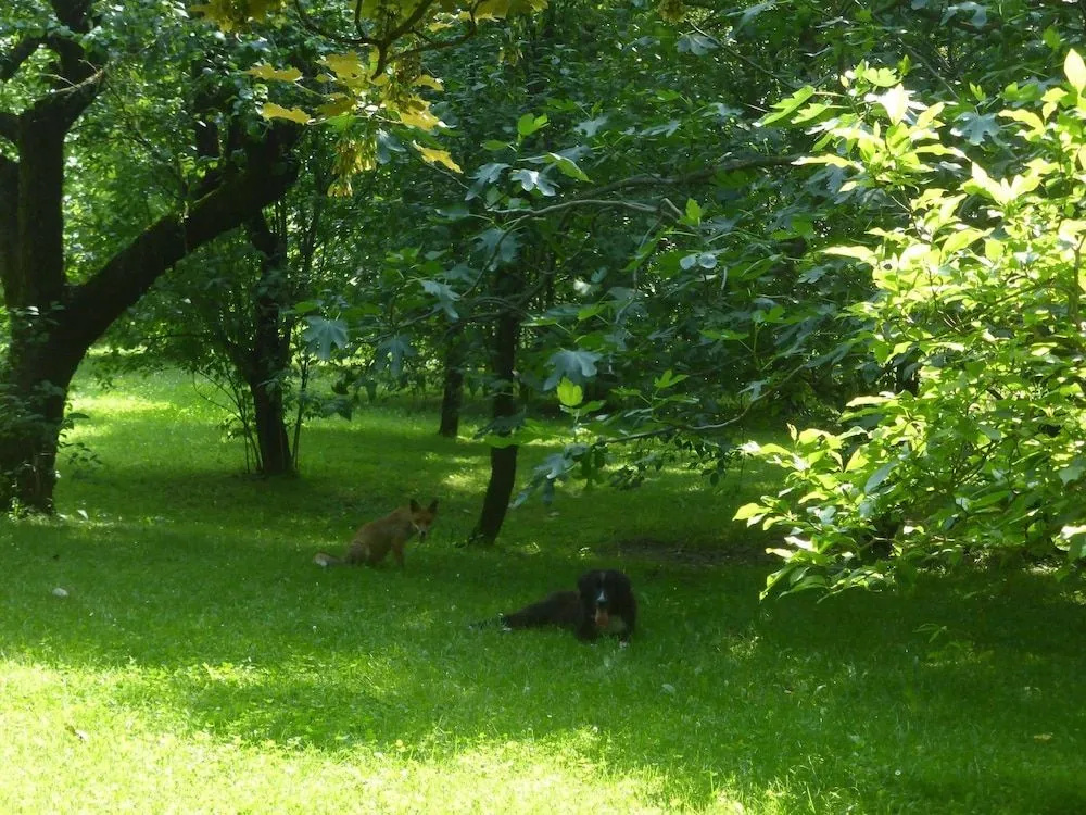 Gli Olmi B&B