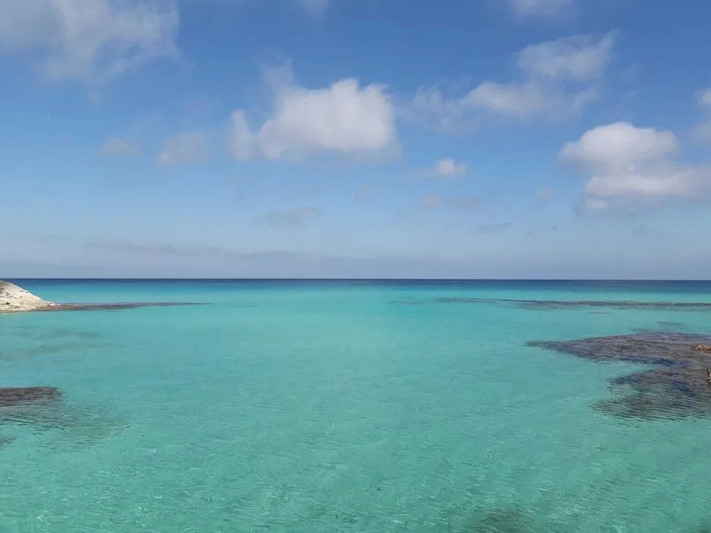 Cavall de Llevant - Formentera Break