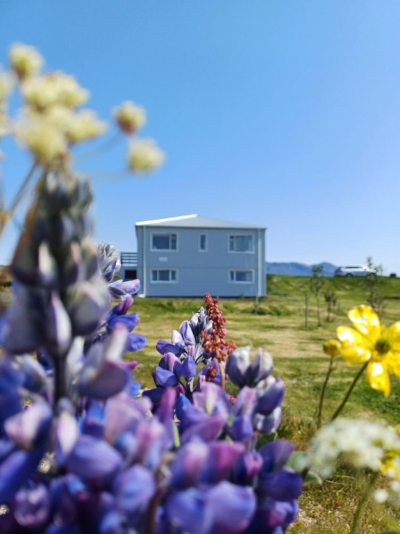 Selið Farm Stay - Family run guesthouse close to Borgarnes