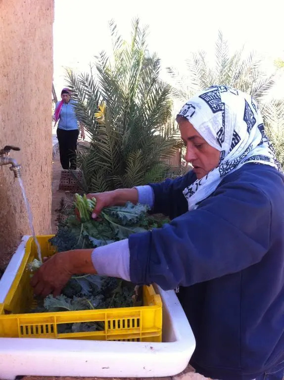 Habiba Organic Farm