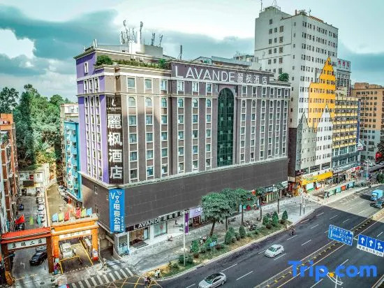 Lavande Hotel (Shenzhen North Railway Station)