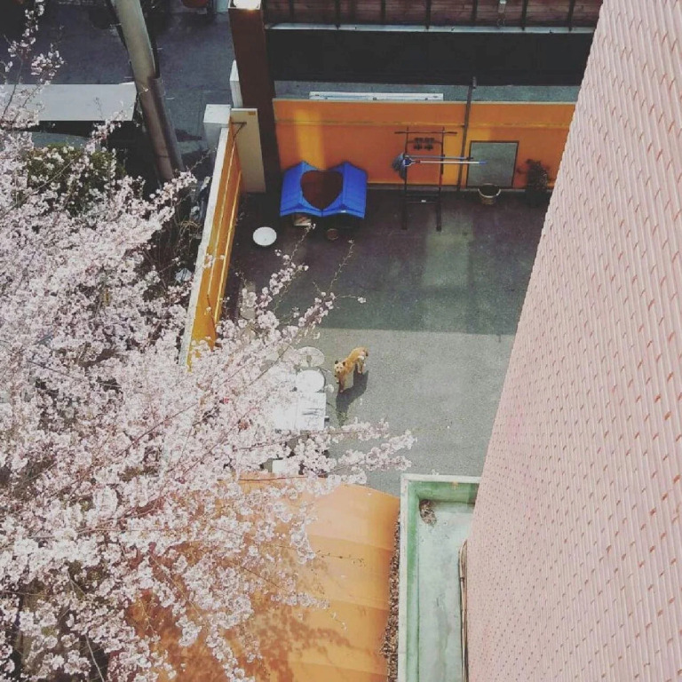 Long stay hostel Sinchon Hongdae