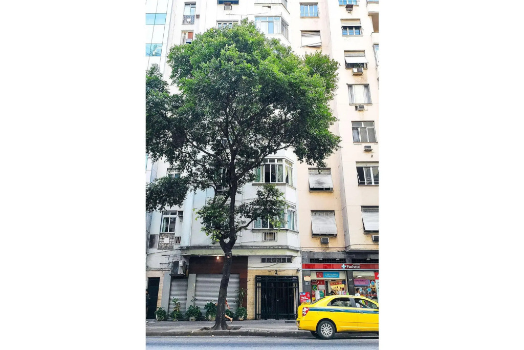Apartamento 3Qtos a 200m da Praia | NSC 1010/302