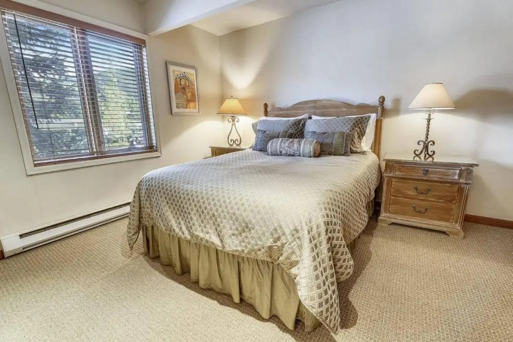 Expansive 2 Bedroom Downtown Aspen Condo, Walk to Gondola for Skiing, Steps to Dining, Shopping and Entertainment
