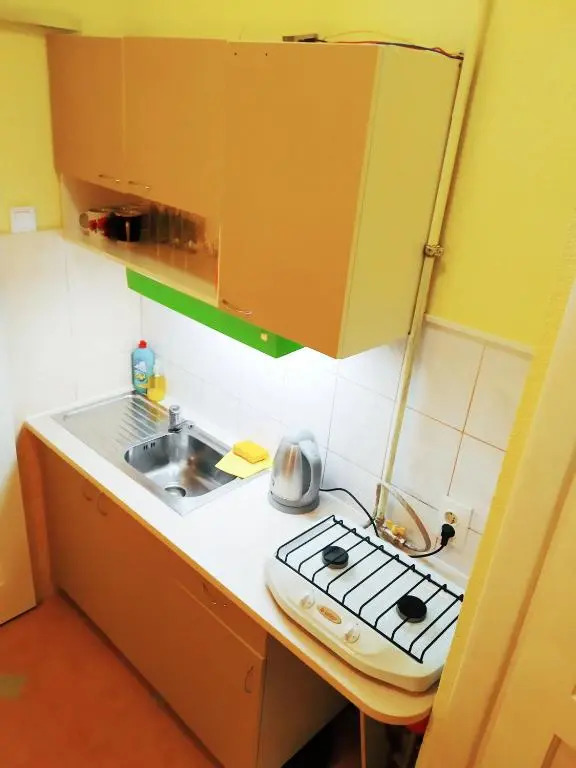 Lviv appartment on Yaroslava Mudrogo 14