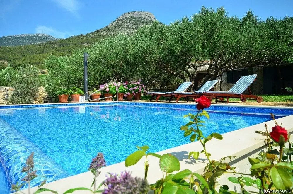 Vojo - Private Swimming Pool - H