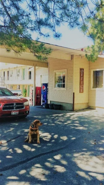 Thunderbird Motel