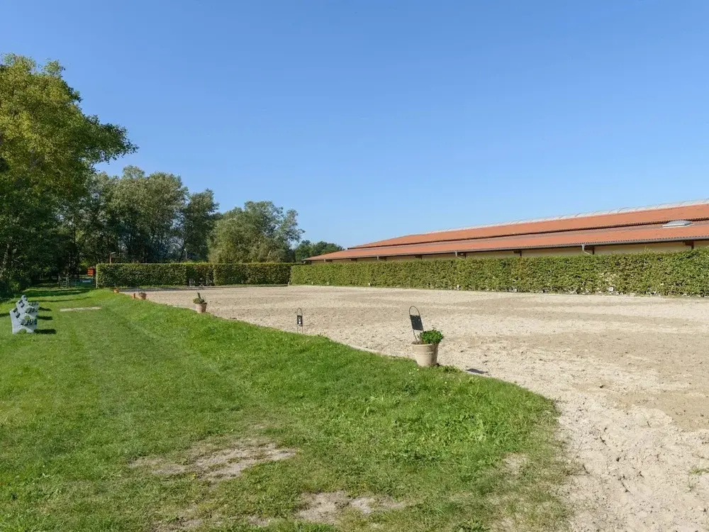 Cozy holiday home on a horse farm in the Lüneburg Heath