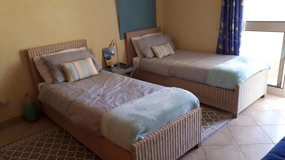 Oasis Palmeira