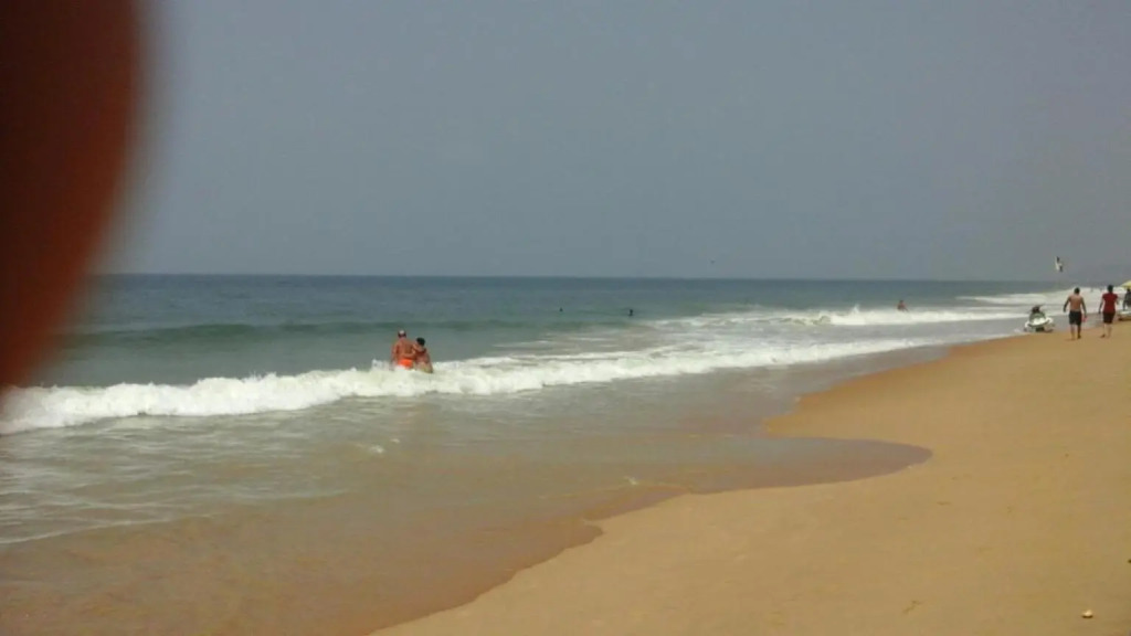 Palm Grove 1 Bhk Apartment at Candolim Beach with free Wifi