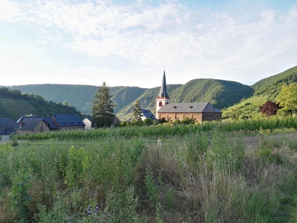 Weingut Klein-Götz