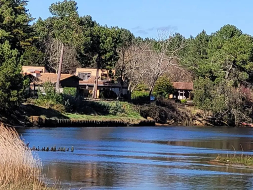Maison 6 pers. à Mimizan, bord de courant, forêt et océan, 3 étoiles, tout confort, ménage inclus - FR-1-50-80