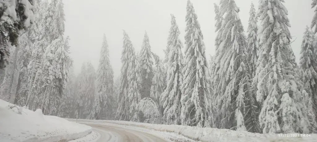 SANS Lux Apartman N42 Milmari Kopaonik