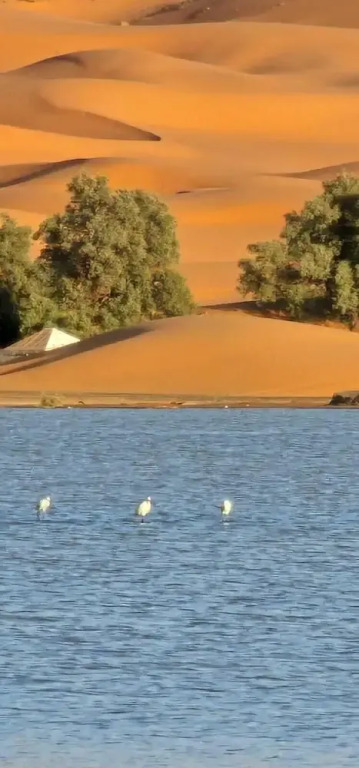 Merzouga Retreats Camp