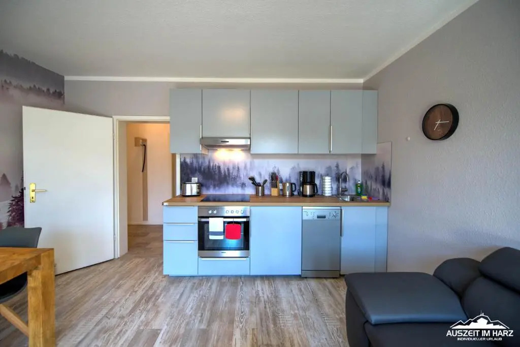 Auszeit im Harz Haus 1 Wohnung Feuerstein