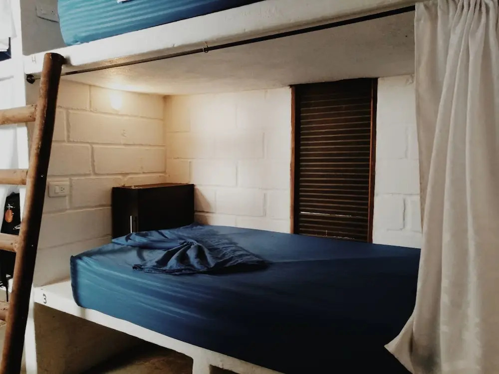 El Zoo Hostel, Bar & Pool
