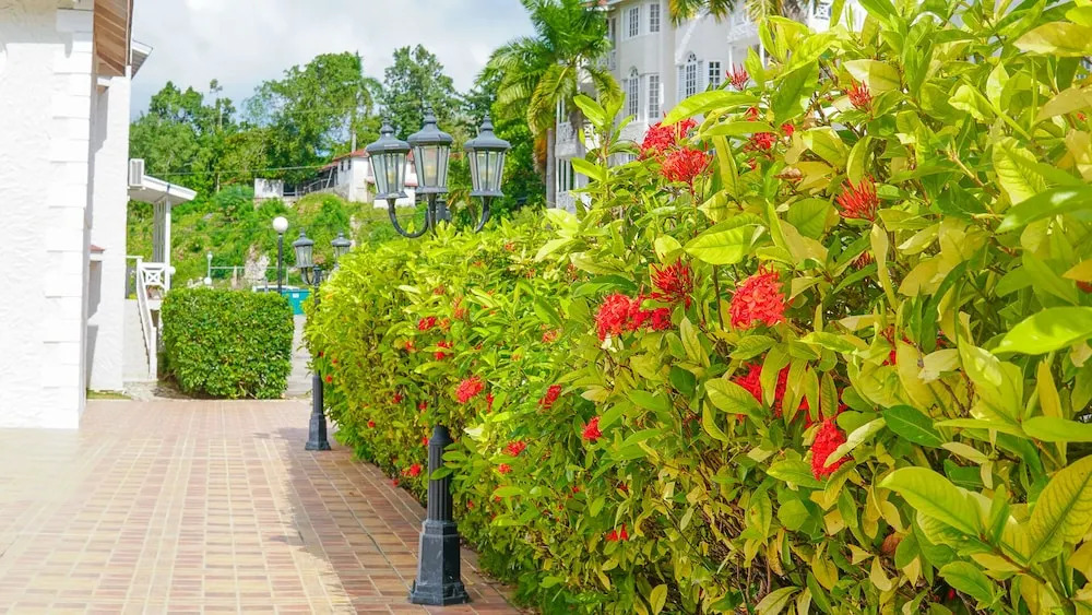 Mira Bay Apartments