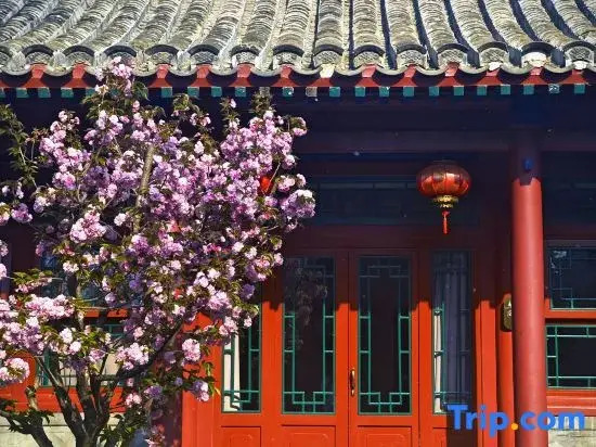 Bejing Heyuanzhixin courtyard（Wang Fujing，Tian'anmen）