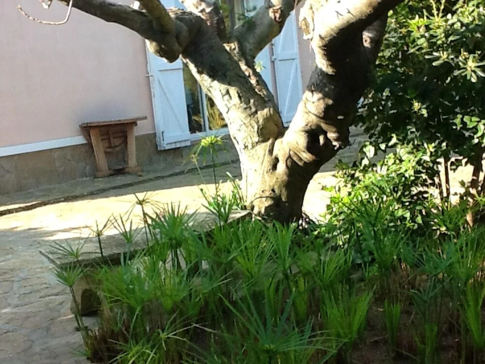 Apartment With 2 Bedrooms in Hyères, With Furnished Garden and Wifi