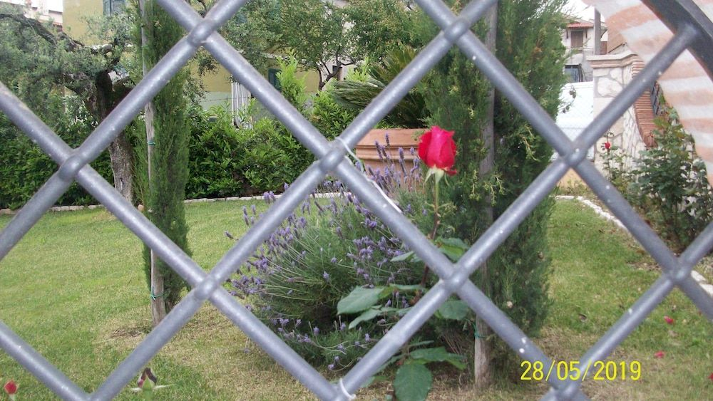 Il Giardino degli Ulivi