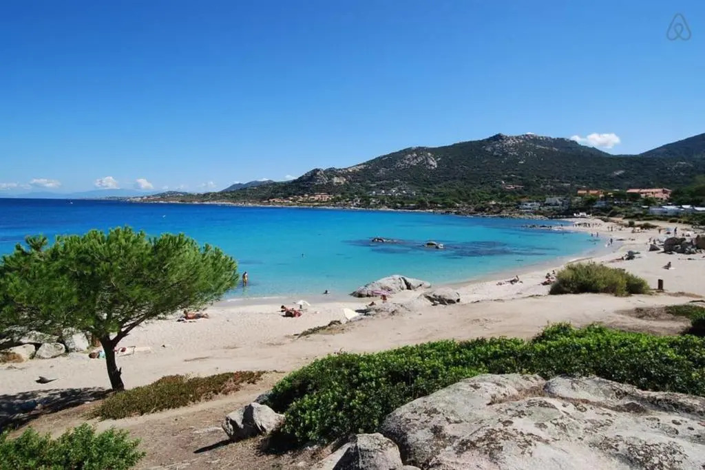 L'orangeraie Calvi centre à 300m de la plage et du port parking privé