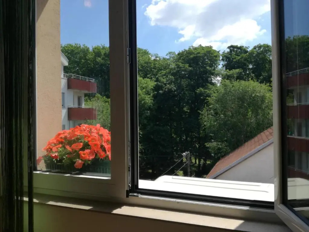Shumice Apartment