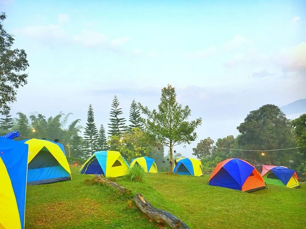 Phulikit View