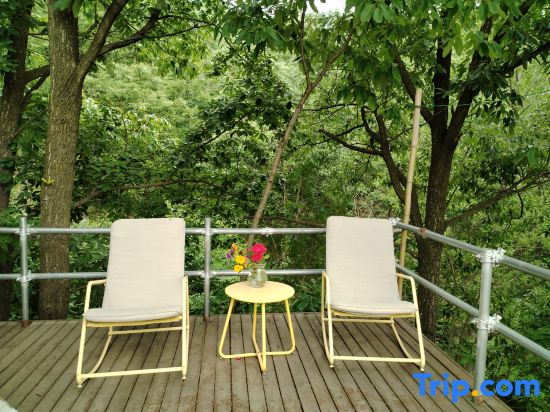 Song Wild Luxury Tent Homestay