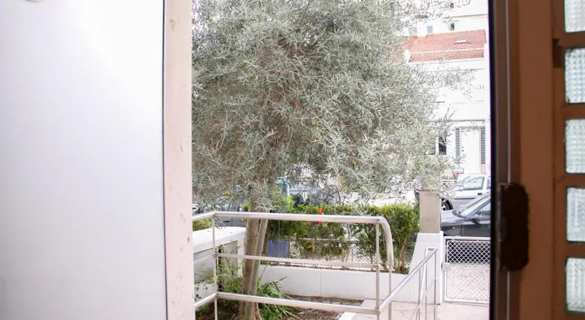 The Olive Tree House
