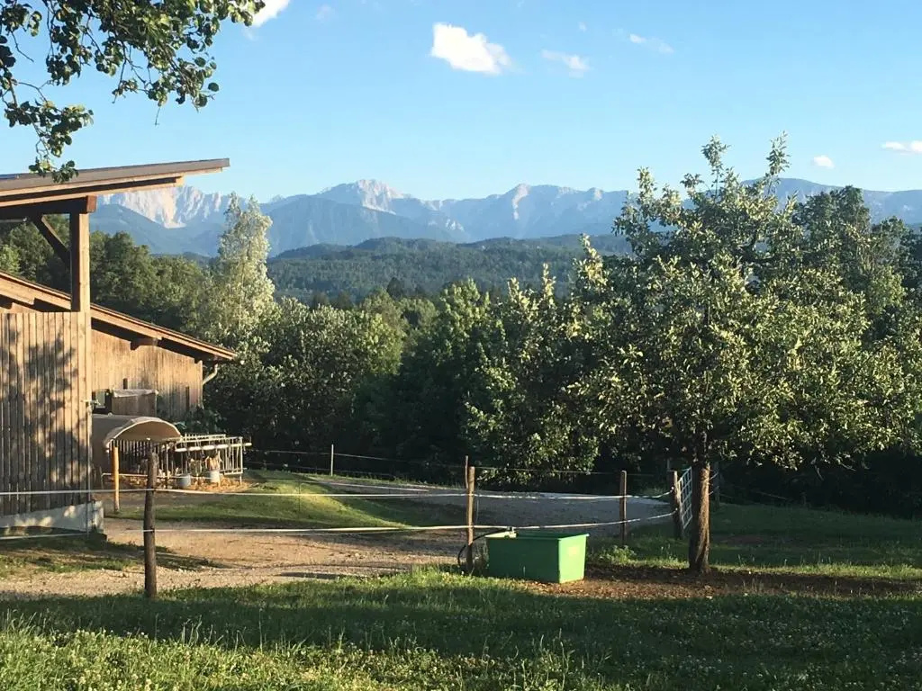 Kollehof