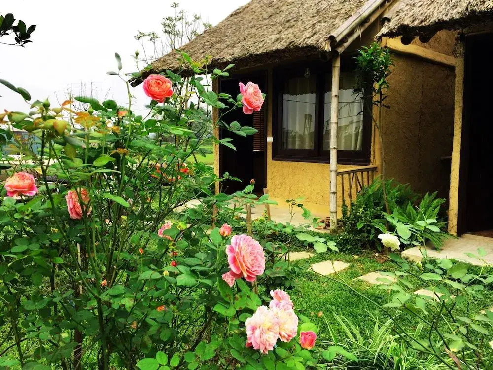 May Homestay - Tam Coc Local Village