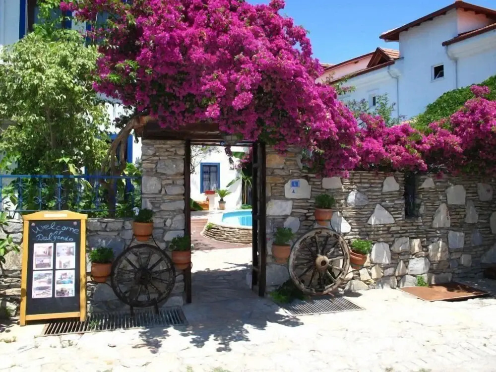 Dalyando Hotel