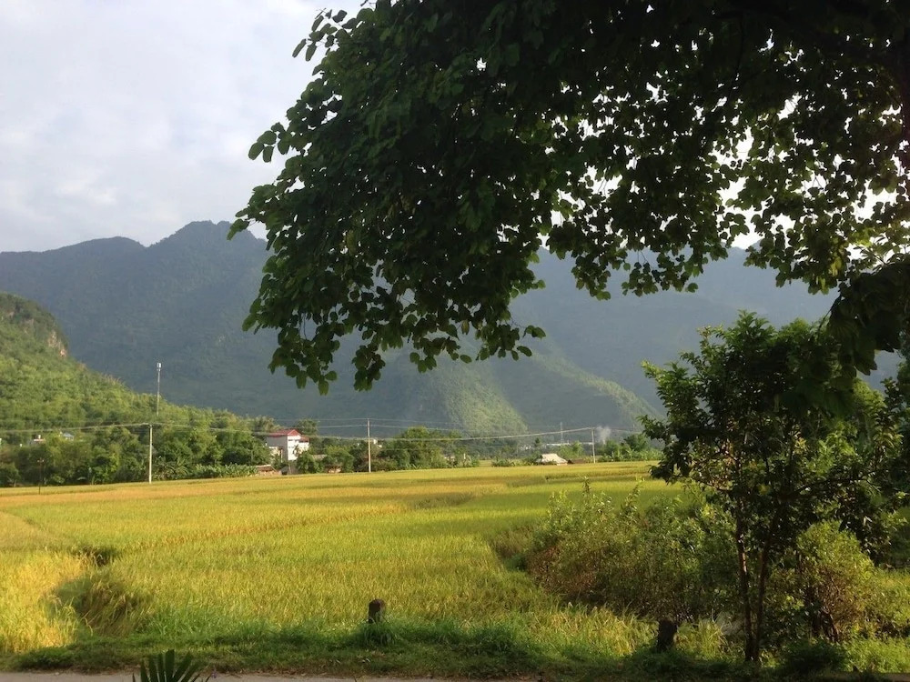 Mai Chau Ecohouse - Guest House