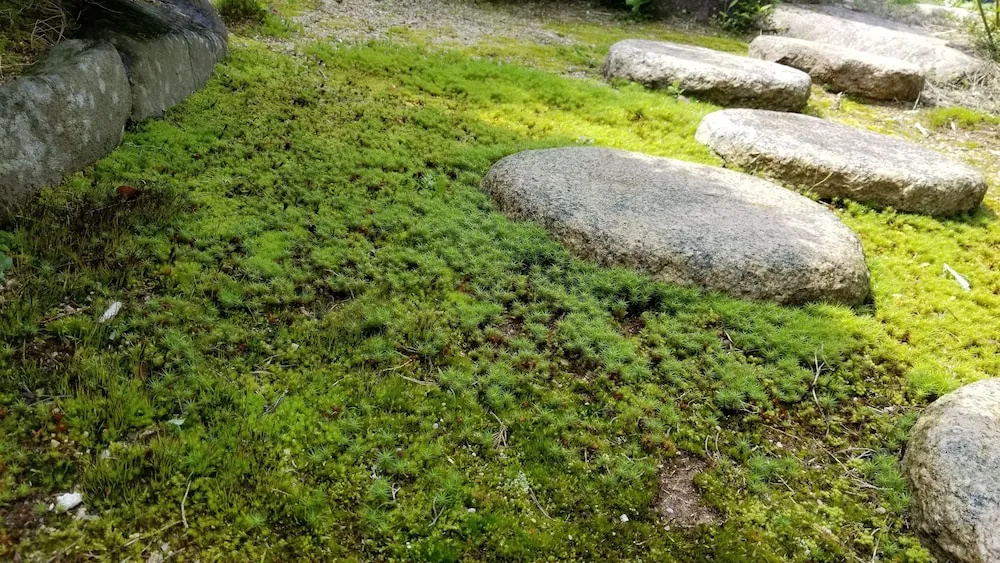 Yuhigaura Onsen Konoya